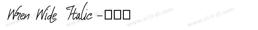 WrenWide Italic字体转换